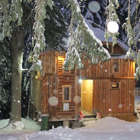 Pinetrees Lodge Plav Ngoại thất bức ảnh