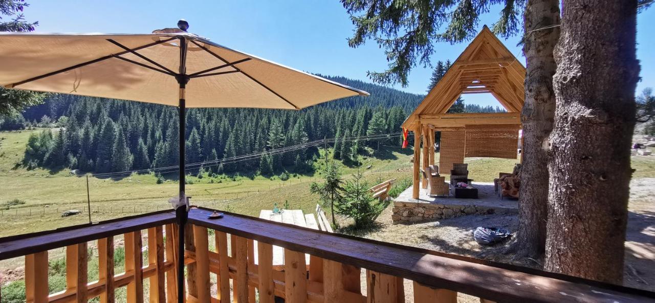 Pinetrees Lodge Plav Ngoại thất bức ảnh