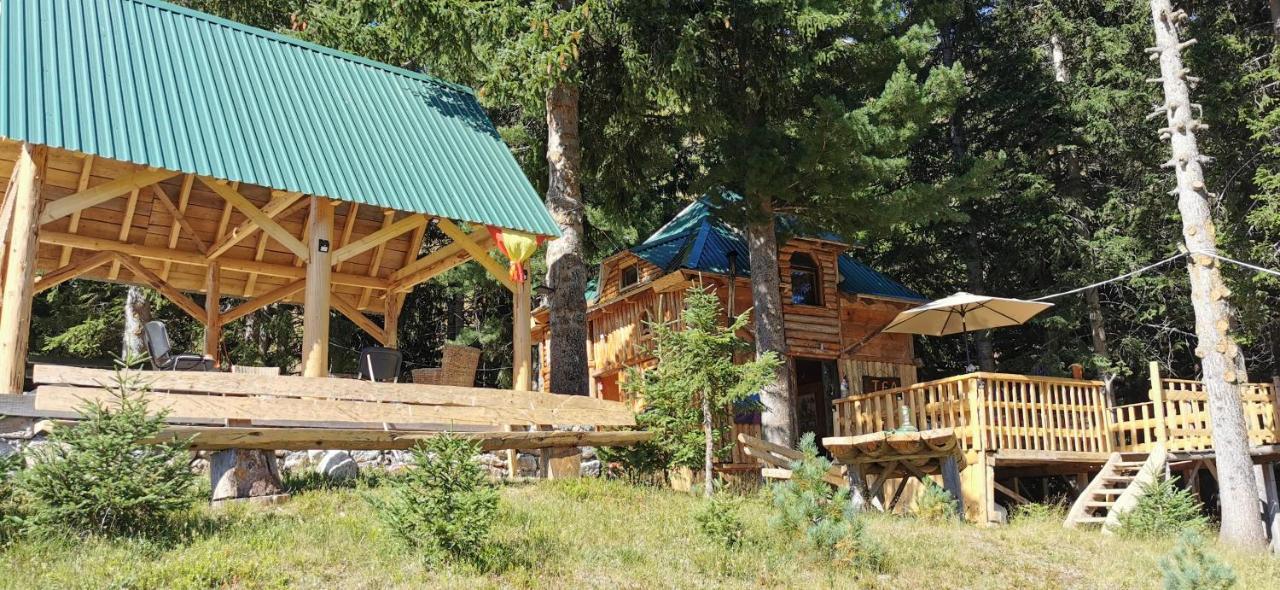 Pinetrees Lodge Plav Ngoại thất bức ảnh