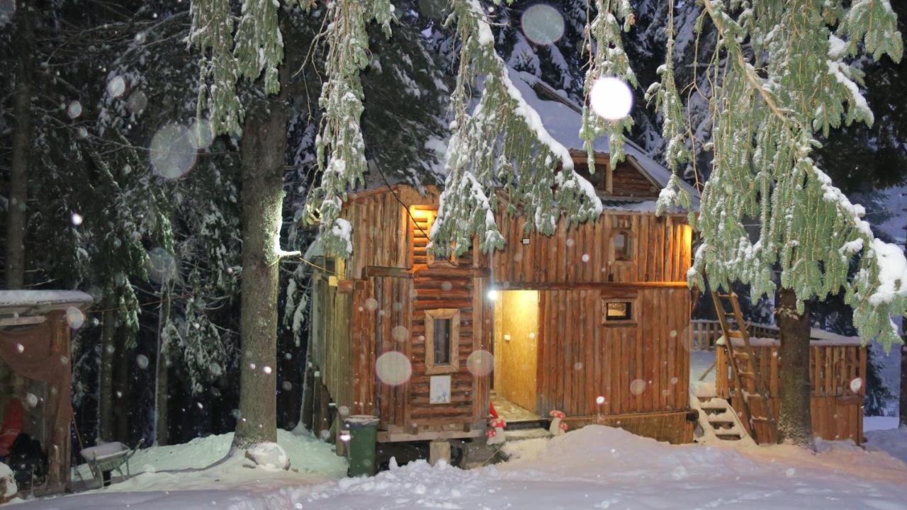 Pinetrees Lodge Plav Ngoại thất bức ảnh