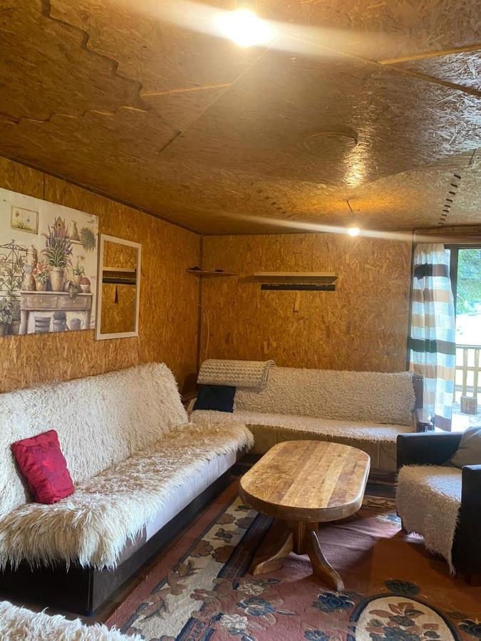 Pinetrees Lodge Plav Ngoại thất bức ảnh
