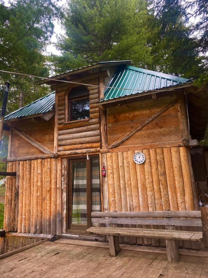 Pinetrees Lodge Plav Ngoại thất bức ảnh