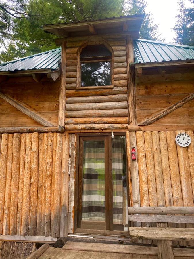 Pinetrees Lodge Plav Ngoại thất bức ảnh