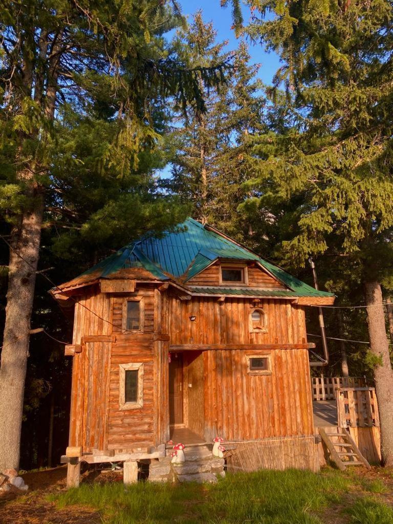 Pinetrees Lodge Plav Ngoại thất bức ảnh